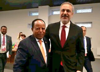 አምባሳደር ታዬ አጽቀሥላሴ ከቱርክ አቻቸው ጋር ተወያዩ።