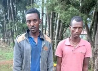 በመከላከያ ሠራዊት ስም እና ማዕረግ ለዘረፋ የተሰማሩ የጽንፈኛው አባላት በቁጥጥር ስር ዋሉ።
