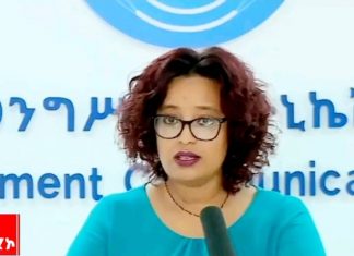 “የሀገሪቱ የፖለቲካ መድረክ ከግጭት አዙሪት እንዲወጣ እና ሰላማዊ አማራጮች እንዲዘወተሩ በርካታ ሥራዎች ተሠርተዋል” ሰላማዊት ካሳ