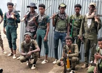 የመንግሥትን የሰላም ጥሪ ተቀብለው ወደ ማኅበረሰቡ የተቀላቀሉ ታጣቂዎች ሌሎችም የእነሱን ፈለግ እንዲከተሉ ጥሪ አቀረቡ።
