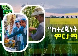 ተረጂነትን ወደ ታሪክ ሠሪነት