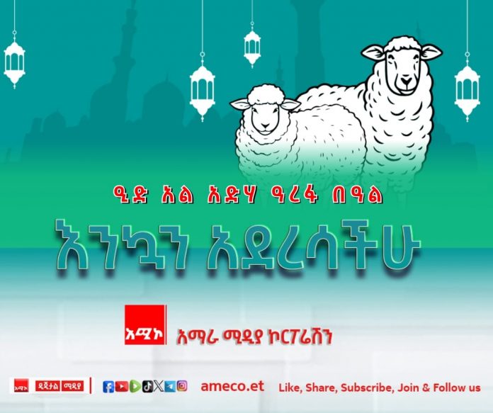 448494405_862748485883077_4368495138864828530_n