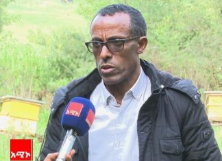 “ሕዝቡ በፀጥታ ችግሩ ከፍተኛ ጫና እንደደረሰበትና ሕግ እና ሥርዓት እንዲከበርለት አጥብቆ እንደሚሻ ተገንዝበናል።” የቋሚ ኮሚቴው ሰብሳቢ ከፋለ ሙላቴ