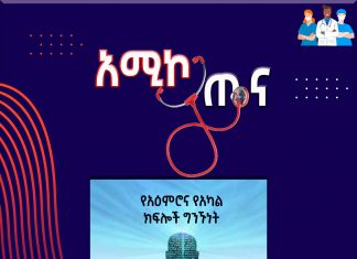 የአዕምሮ ጤና እና ሌሎች የአካል ክፍሎቻችን ያላቸው ግንኙነት ምንድን ነው?