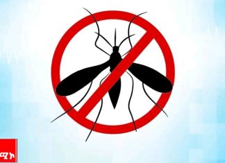 ኅብረተሰቡ የወባ ትንኝ መከላከያ ዘዴዎችን በአግባቡ በመጠቀም ከበሽታው ራሱን እንዲጠብቅ ተጠየቀ።