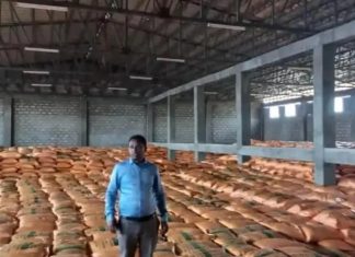 “ከ1ሚሊዮን ኩንታል በላይ ሰው ሠራሽ ማዳበሪያ ተሠራጭቷል” የምሥራቅ ጎጃም ዞን