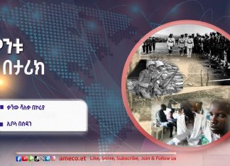 “ሂዱ እና ወራሪዎችን ድል ንሷቸው፤ በኮሪያ ልሳነ ምድርም ሕግና ሥርዓትን አስከብሩ” አጼ ኃይለሥላሤ