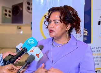 የሁለተኛ ትውልድ ኢትዮጵያውያን በሀገሪቱ ልማት እና ኢንቨስትመንት ለመሳተፍ ዝግጁ መኾናቸውን ገለጹ።