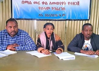 ታጥቀው የሚንቀሳቀሱ አካላት ለሕዝባቸው ሰላም ሲሉ ለውይይት እንዲቀርቡ የደብረብርሃን ከተማ ነዋሪዎች ጠየቁ።