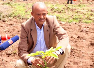 “የተጀመረውን የአረንጓዴ አሻራ መርሐ ግብር በአግባቡ በመተግበር የክልሉን ኢኮኖሚ ማሳደግ ይገባል” ርእሰ መሥተዳደር አረጋ ከበደ