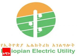 በ2016 በጀት ዓመት 116 አዳዲስ የገጠር ከተሞች እና መንደሮችን የኤሌክትሪክ ተጠቃሚ መኾናቸውን የኢትዮጵያ ኤሌክትሪክ አገልግሎት ገለጸ።