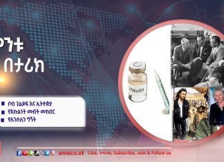 ኢትዮጵያውያንን ለመታደግ የተዘጋጀው የሙዚቃ ድግሥ