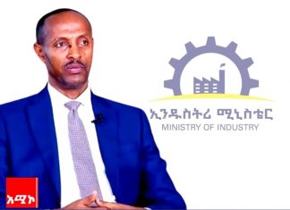 “ከውጭ ሲገቡ የነበሩ 96 ምርቶችን በሀገር ውስጥ መተካት ተችሏል” የኢንዱስትሪ ሚኒስትር መላኩ አለበል