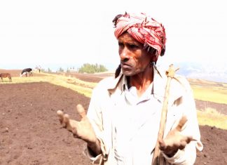 “ግጭቱ ይበቃል ወደ ሰላም ተመለሱ ችግሩ ከአቅማችን በላይ ሁኗል” የደሴ ዙሪያ ወረዳ አርሶ አደሮች