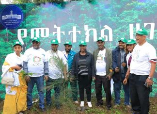 “ከተማችን ለመኖር የምትመች እና አረንጓዴ የምትለብስ የምናረጋት እኛ ነን፤ ለዚህም ነው ችግኝ የምንተክለው” ከንቲባ አዳነች አቤቤ