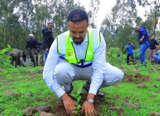 ከ3 ነጥብ 4 ሚሊዮን በላይ ችግኞች ለተከላ መዘጋጀታቸውን የጎንደር ከተማ አሥተዳደር አስታወቀ።