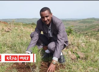 በወልቃይት ወረዳ የአረንጓዴ አሻራ መርሐ ግብር ከ56 ሺህ በላይ ችግኞችን ለመትከል አቅዶ እየሠራ መኾኑን የወረዳው ግብርና ጽሕፈት ቤት አስታወቀ።