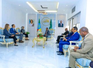 የውጭ ጉዳይ ሚኒስትር አምባሳደር ታዬ አጽቀሥላሴ ከአውሮፓ ኅብረት የአፍሪካ ቀንድ ልዩ መልእክተኛ ጋር ተወያዩ።