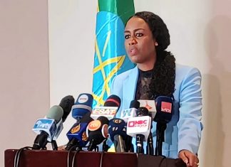 በበጀት ዓመቱ 14 ነጥብ 7 ቢሊዮን ብር ገቢ ማግኘቱን የኢሚግሬሽን እና ዜግነት አገልግሎት አስታወቀ።