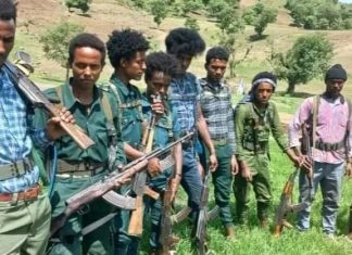 የክልሉ የሰላም ካውንስል ባቀረበው የሰላም ጥሪ መሰረት 20 ታጣቂ ኃይሎች ማኅበረሰቡን ተቀላቀሉ።