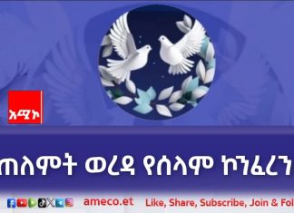“እኛ የሀገር ሽማግሌዎች እና የሃይማኖት አባቶች ተፋላሚ ኀይሎች ሰላም ፈጥረው ሕዝቡ እፎይታ እንዲያገኝ እንሠራለን” የጠለምት ወረዳ የሰላም ኮንፈረንስ ተሳታፊዎች