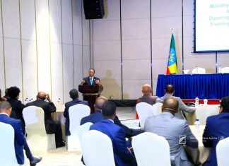 “እንደ ዲፕሎማት በሕዝብ መታመን እና የብሔራዊ ኩራት ምንጭ መኾን ተገቢ ነው” አምባሳደር ታዬ አጽቀሥላሴ