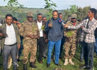 በምሥራቅ ጎጃም ዞን የምዕራፍ ሁለት የመጀመሪያው ዙር የአረንጓዴ አሻራ መርሐ ግብር ተጀመረ።
