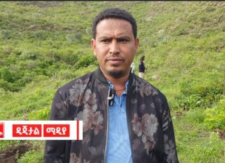 “ችግኝ መትከል ብቻ ሳይኾን የማሳደግ ኀላፊነትም አለብን” ዋና አሥተዳዳሪ ኃይሉ ግርማይ