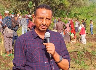 “ችግኝ መትከላችን አፈርን በማቀብ መሬትን ለትውልድ እንድናሻግር ያስችለናል” የሰሜን ወሎ አርሶ አደሮች