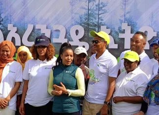 ከቴክኖሎጂ ማስፋፋት ባለፈ በአረንጓዴ አሻራ ሥራ ለ4 ሺህ ዜጎች የሥራ ዕድል ለመፍጠር ወደ ሥራ መግባቱን ኢትዮ ቴሌኮም ገለጸ፡፡