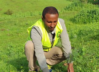 “ችግኞችን ከመትከል ባሻገር ብሔራዊ ፓርኮችን እና ጥብቅ ደኖችን መጠበቅ ይገባል” የምዕራብ ጎንደር ዞን ግብርና መምሪያ