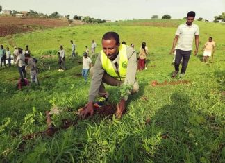 “አረንጓዴ አሻራ ለነገው ትውልድ የተስፋ እስትንፋስ ነው” የምዕራብ ጎንደር ዞን ዋና አሥተዳዳሪ ቢክስ ወርቄ