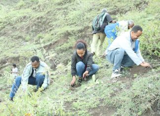 የወልድያ ከተማ አሥተዳደር የ2016 የአረንጓዴ አሻራ የችግኝ ተከላን አስጀመረ።