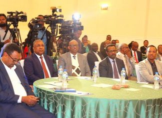 ከአበባ፣ አትክልትና ፍራፍሬ ልማት በዚህ ዓመት 535 ሚሊዮን የአሜሪካ ዶላር መገኘቱን የግብርና ሚኒስቴር ገለጸ።