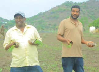 በራያ ቆቦ ወረዳ የአረንጓዴ አሻራ ችግኝ ተከላ መርሐ ግብር እየተከናወነ ነው።