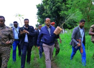 “የጋራ ታሪካችን የኾነው የፋሲል አብያተ መንግሥት ጥገና መጀመሩን ተመልክቻለሁ” የገንዘብ ሚኒስትር አህመድ ሽዴ