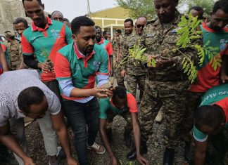 በሰሜን ወሎ ዞን በሀራ ከተማ አሥተዳደር የአረንጓዴ አሻራ የችግኝ ተከላ መርሐ-ግብር ተካሄደ።