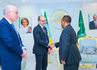 ኢትዮጵያ እና ስፔን በአፍሪካ ቀንድ ቀጣና ወቅታዊ ጉዳዮች ዙሪያ መከሩ።