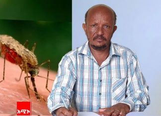 በምዕራብ ጎንደር ዞን የወባ ሥርጭት መጨመሩን የምዕራብ ጎንደር ዞን ጤና መምሪያ አስታወቀ።