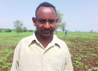 “ዞኑ ከ80 ሺህ በላይ ጊዜያዊ የጉልበት ሠራተኛ ለወቅታዊ የግብርና ሥራ ይፈልጋል” የወልቃይት ጠገዴ ሰቲት ሁመራ ዞን