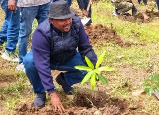 “ለምግብ የሚውሉ የፍራፍሬ ችግኞችን በመትከል የምግብ ዋስትናን በማረጋገጥ የሀገራችንን እድገት ማረጋገጥ ይገባናል” በለጠ ሞላ (ዶ.ር)