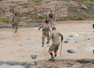 በሰሜን ጎጃም ጎንጂ ቆለላ ወረዳ ዋሸራ ከተማ በተደረገ ኦፕሬሽን 31 ታጣቂዎች ተደመሰሱ፡፡