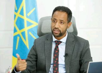 “በፓርኮቻችን የኢትዮጵያንና የሩሲያን የረጅም ጊዜ ግንኙነት የሚመጥን የሩሲያ ኢንቨስትመንት እንዲኖር እንፈልጋለን” ፍስሃ ይታገሱ (ዶ.ር)