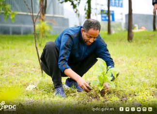 በኮምቦልቻ ኢንዱስትሪ ፓርክ የተሠሩ የአረንጓዴ ልማት ሥራዎች እንደ ሀገር የሚከናወነውን የአረንጓዴ አሻራ መርሐ ግብር የሚያግዙ መኾናቸው ተገለጸ።
