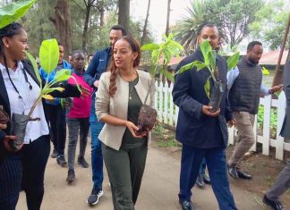 መድኃኒትነት ያላቸውን ችግኞች በመትከል የአረንጓዴ አሻራ ሥራን በውጤታማነት ለማከናወን እየሠራ መኾኑን ጤና ሚኒስቴር ገለጸ፡፡