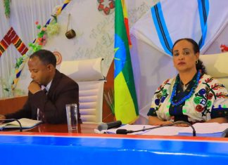 በሰው ኀይል አለመሟላት፣ በፀጥታ ችግር መኖር እና በውስብስብ ምርመራ ምክንያት ዕቅዱን ማሳካት እንዳልቻለ ዋና ኦዲተር መሥሪያ ቤት ገለጸ፡፡