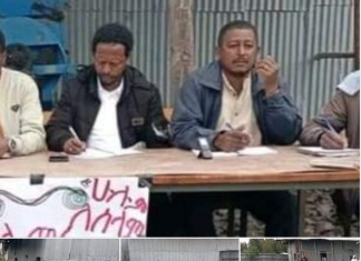 የሰላም ኮንፈረንስ በሰሜን ሸዋ ዞን እንሳሮ ወረዳ እየተካሄደ ነው።