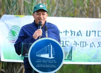 “ኢትዮጵያውያን በመተባበር በአንድ ጀምበር ለመትከል ከታሰበው በላይ በማሳካት ሀገራችንን ማስጠራት አለብን” ምክትል ጠቅላይ ሚኒስትር ተመሥገን ጥሩነህ