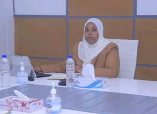 የሠለጠነ የሰው ኀይል ወደ አውሮፓ ሀገራት መላክ መጀመሩን የሥራ እና ክህሎት ሚኒስቴር ገለጸ፡፡