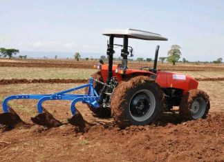 ከ708 ሺህ ሄክታር በላይ መሬት በስንዴ ሰብል መሸፈኑን የአማራ ክልል ግብርና ቢሮ ገለጸ።